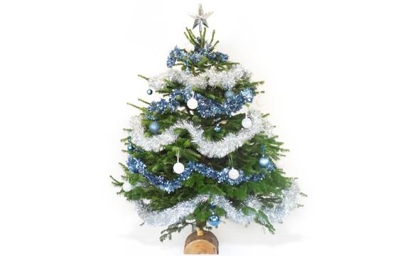 Sapin de Noël
