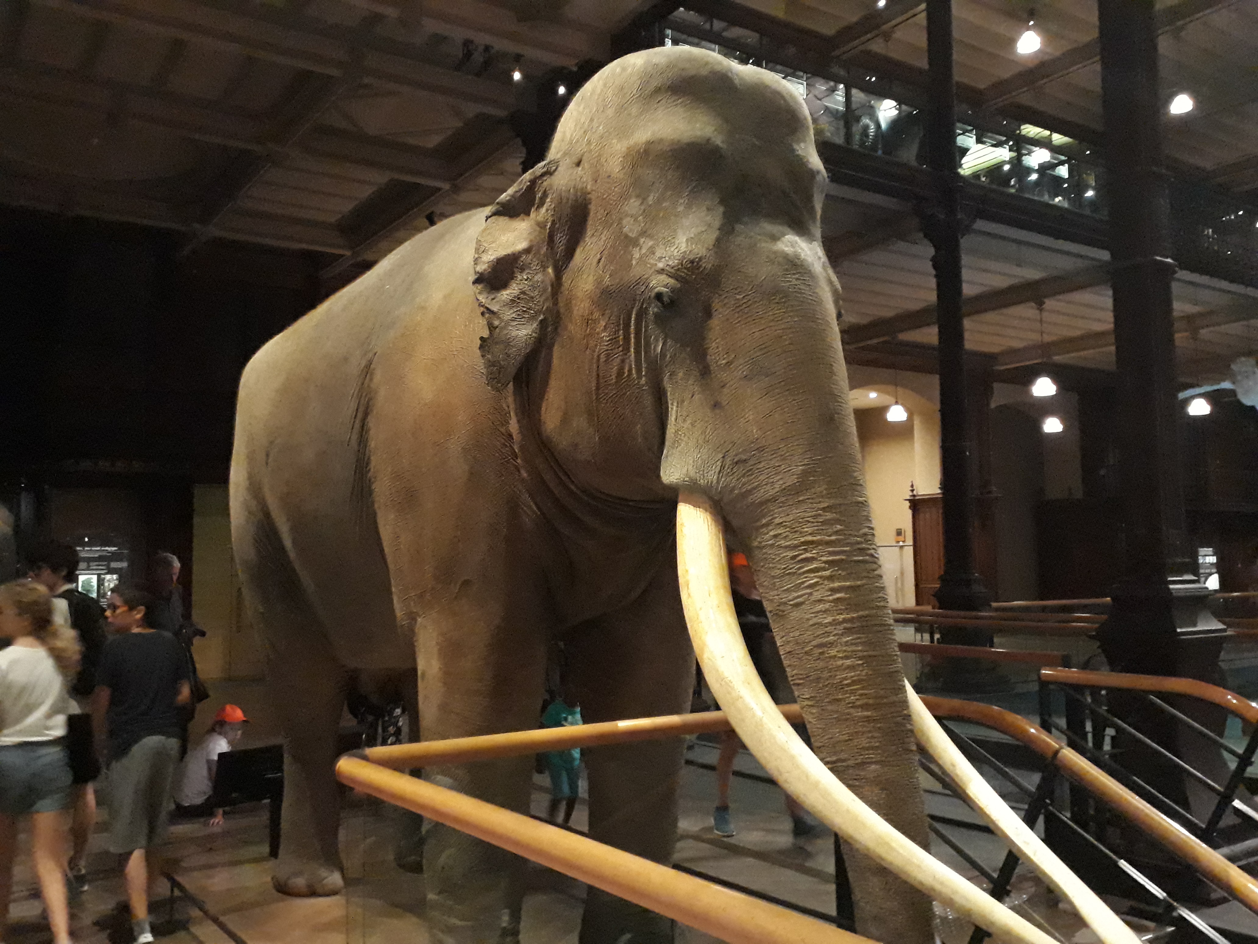 Museum national histoire naturelle