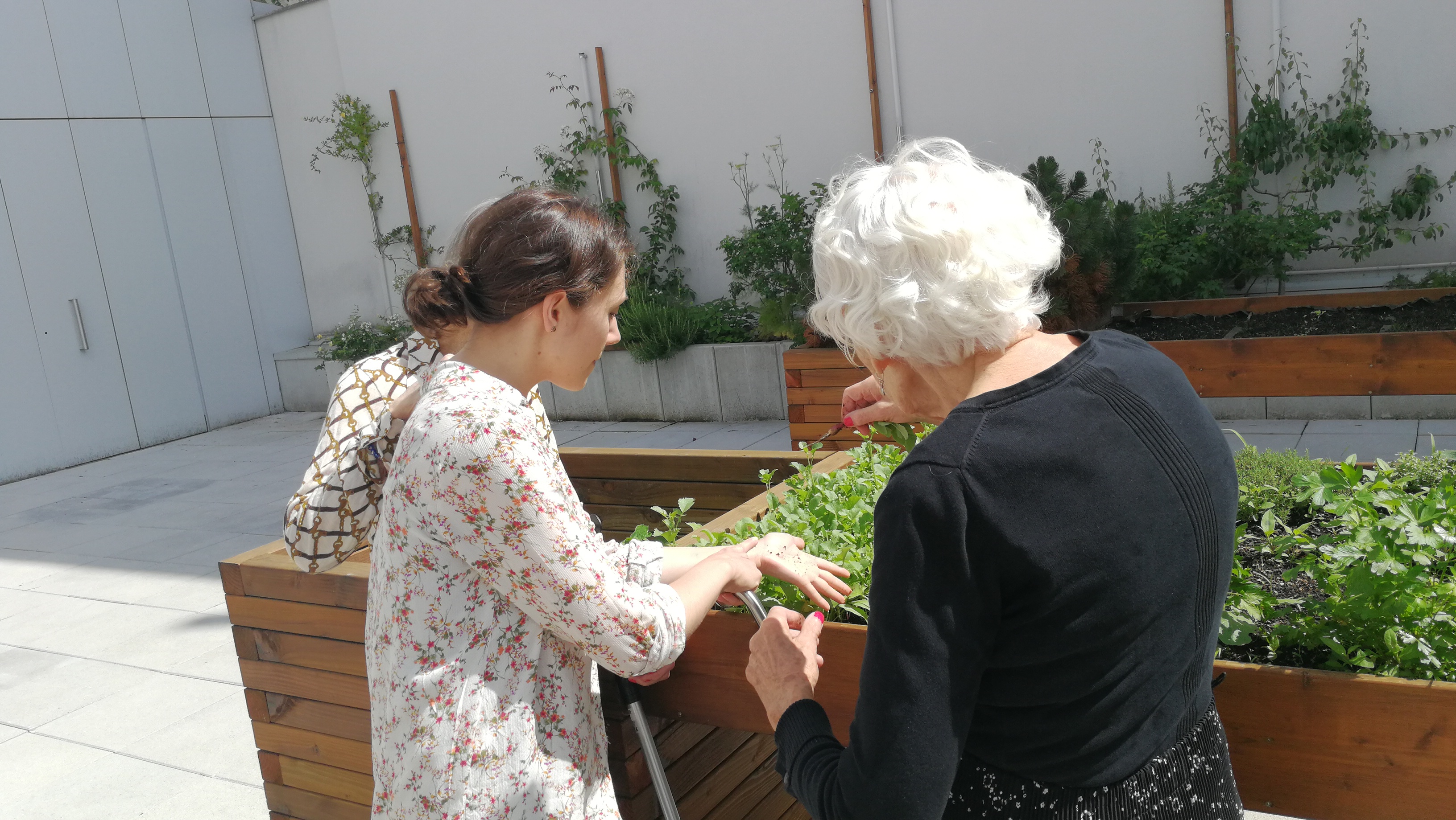 Jardinage thérapeutique 