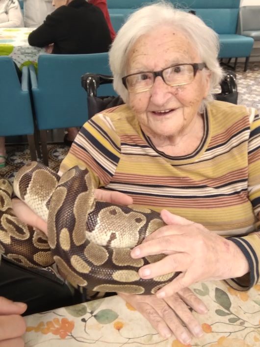 Zoothérapie
