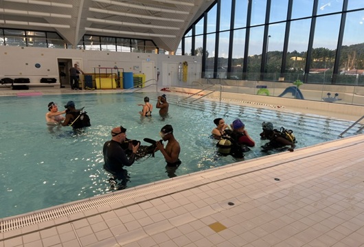 Apprentissage dans le petit bassin